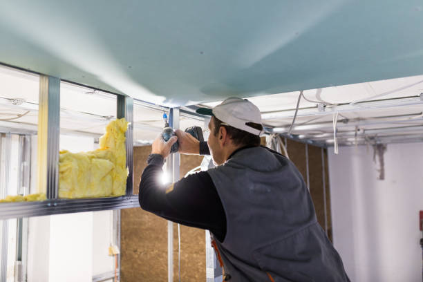 Best Insulation Maintenance and Repair in Swannanoa, NC